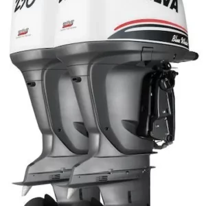 Selva Marine 4 STROKE OUTBOARDS BLUE WHALE 250 E.F.I.