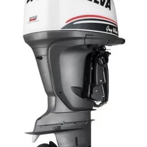 Selva Marine 4 STROKE OUTBOARDS GREY WHALE 225 E.F.I.