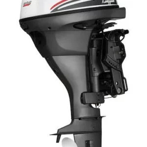 Selva Marine 4 STROKE OUTBOARDS KINGFISH 25