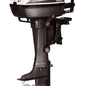 Selva Marine 4 STROKE OUTBOARDS OYSTER BIG FOOT 6
