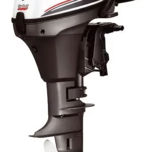 Selva Marine 4 STROKE OUTBOARDS RAY 8